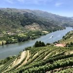 A day trip to Douro